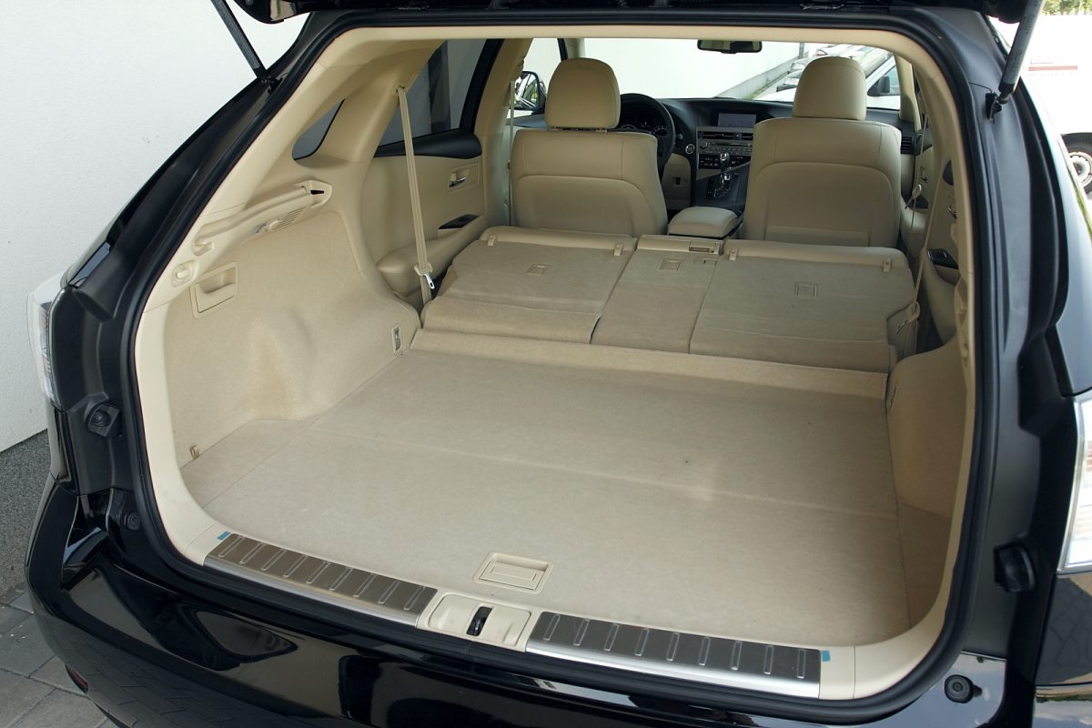 LEXUS RX