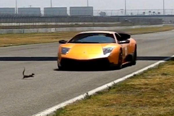 LAMBORGHINI MURCIELAGO