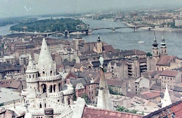 Lezuhant egy autóbusz a Margit hídról - anno 1954