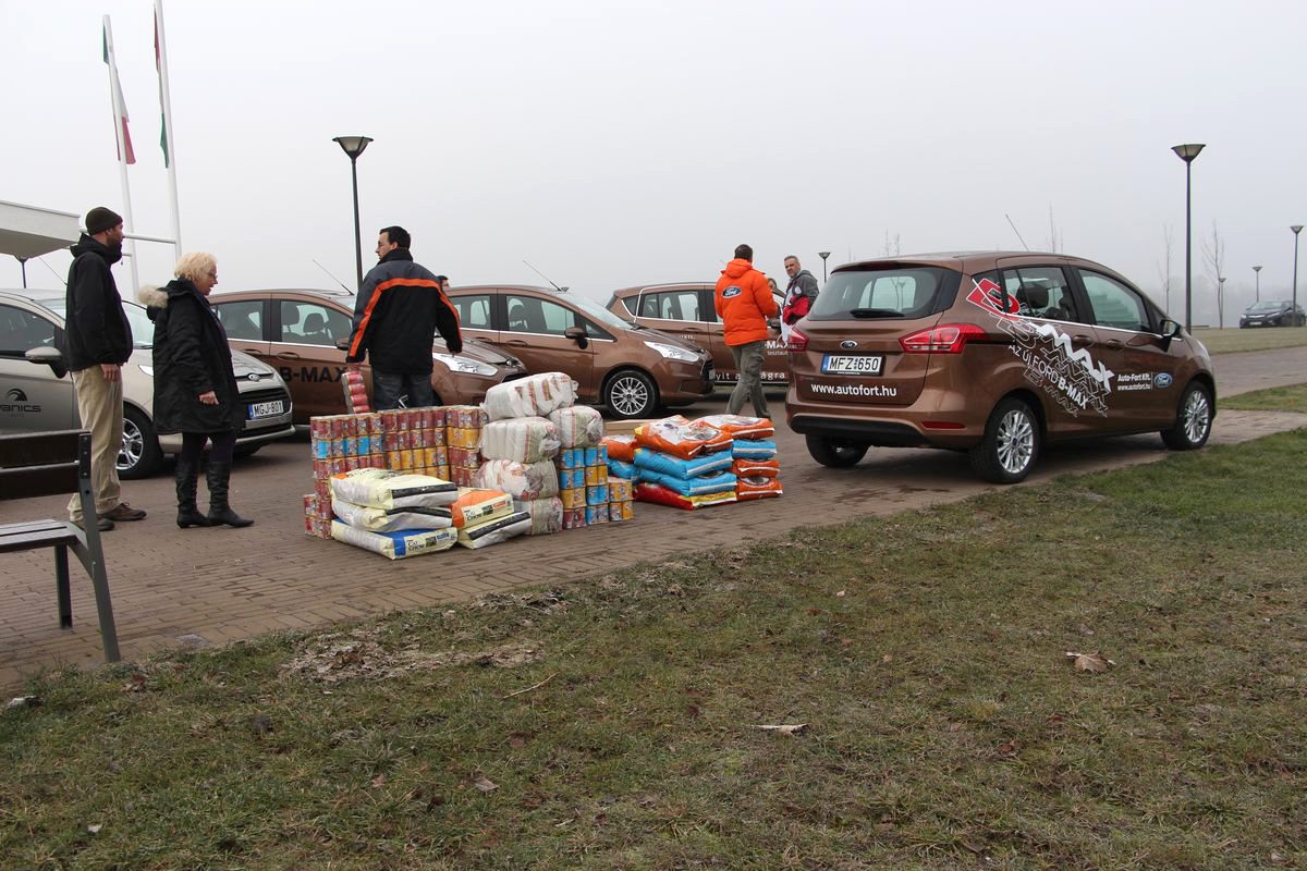 FORD B-MAX