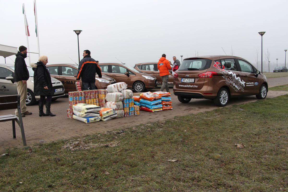 FORD B-MAX
