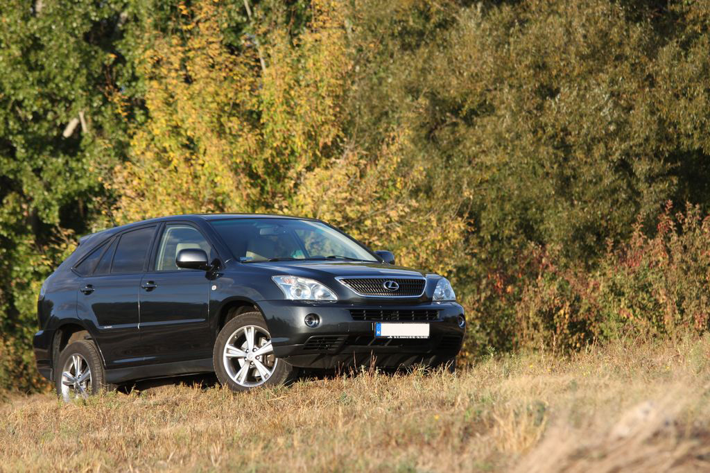 LEXUS RX