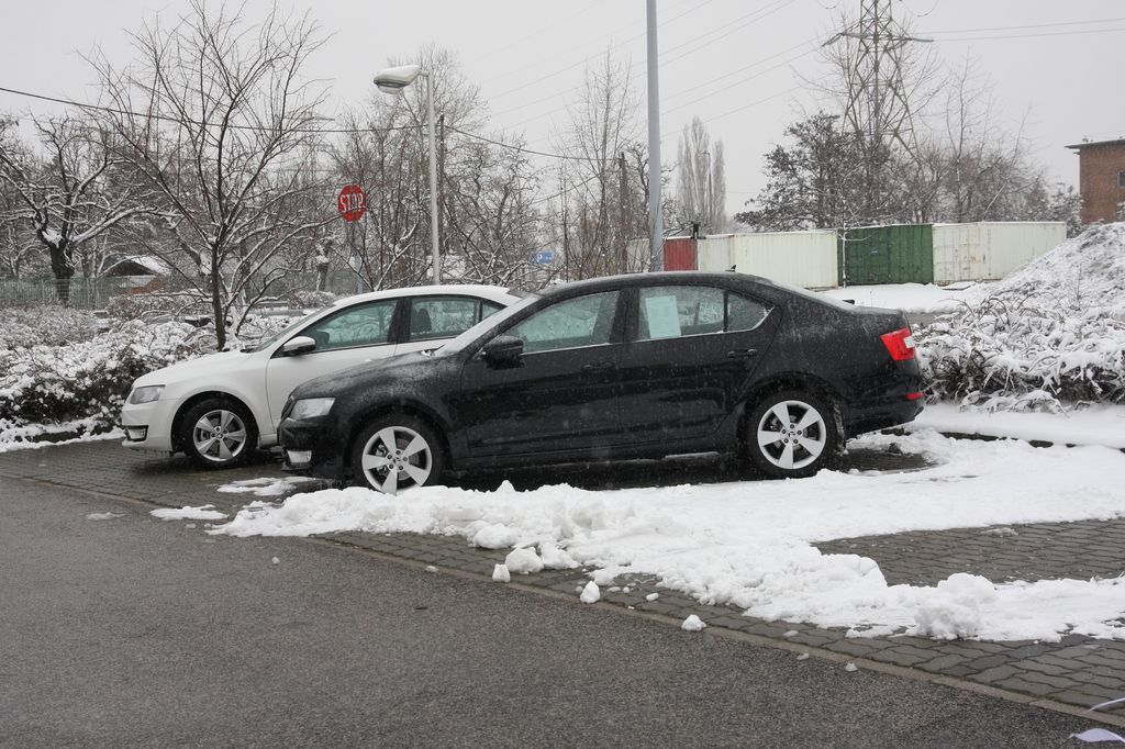 SKODA OCTAVIA