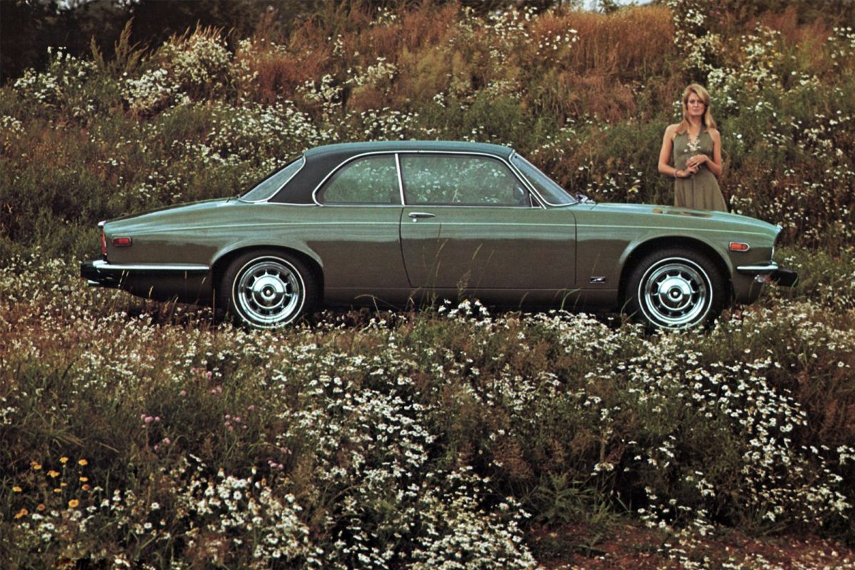 JAGUAR