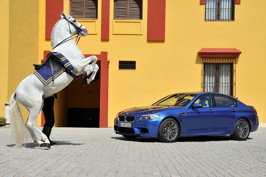 BMW