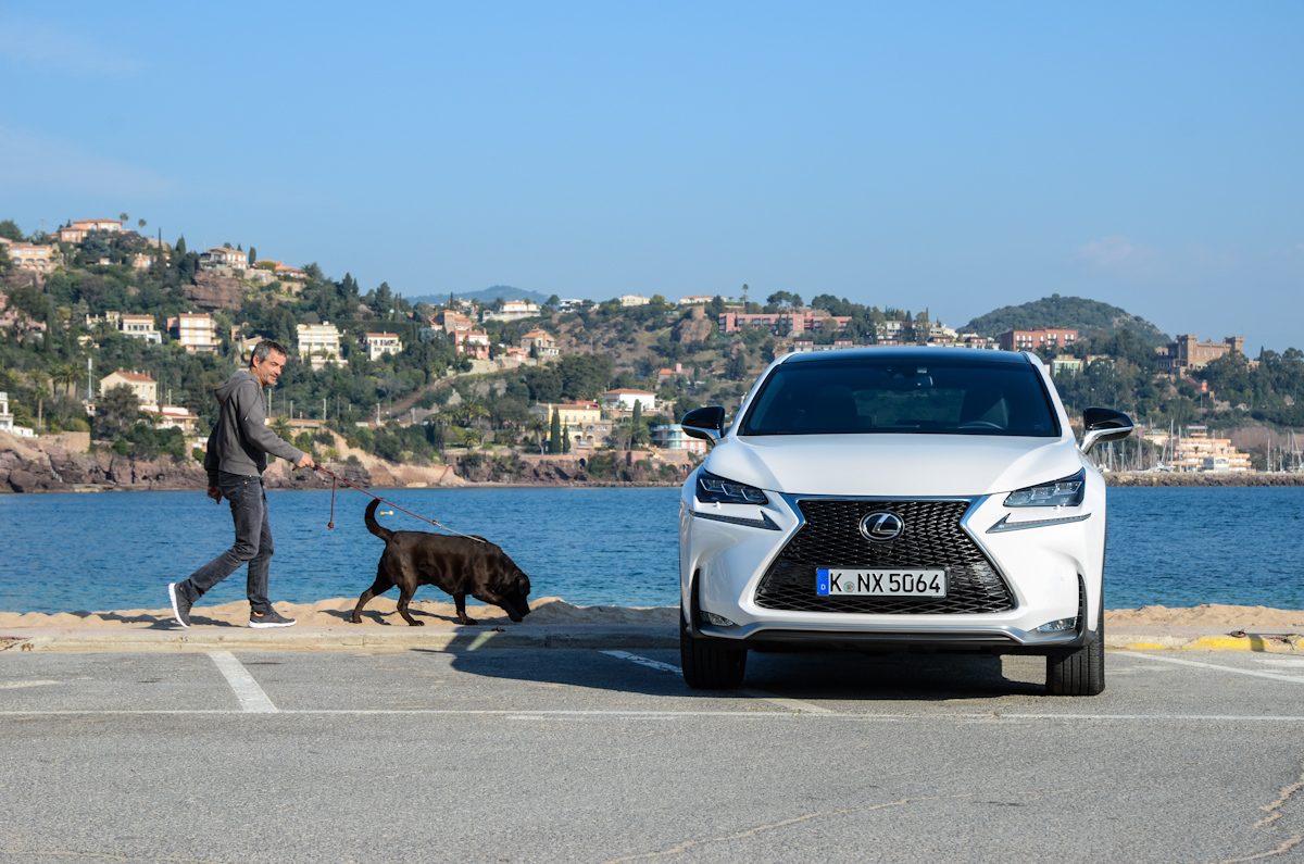 LEXUS
