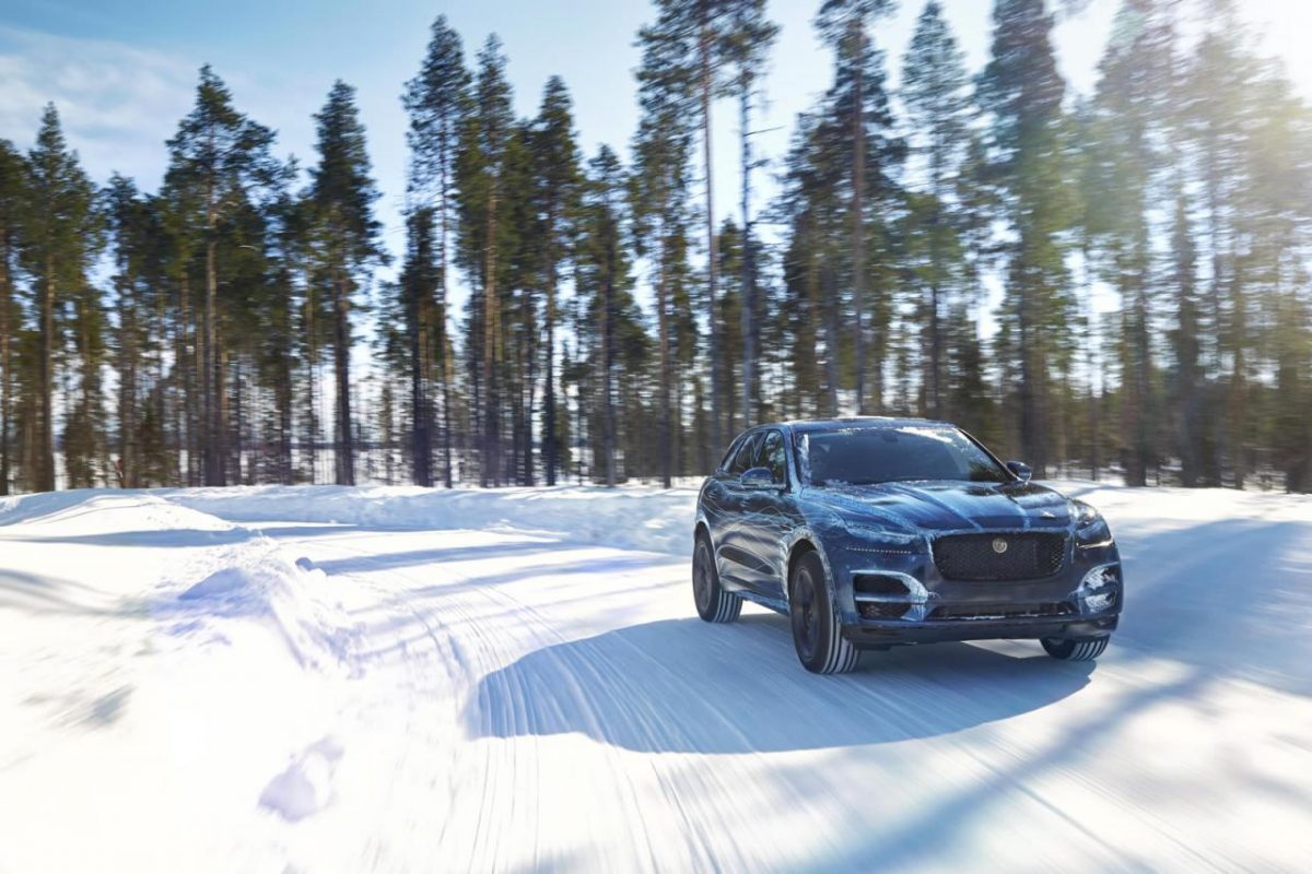 JAGUAR