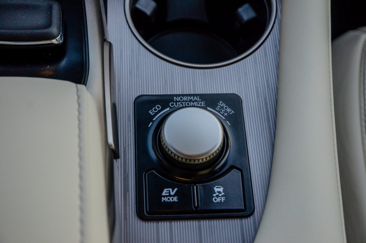 LEXUS RX