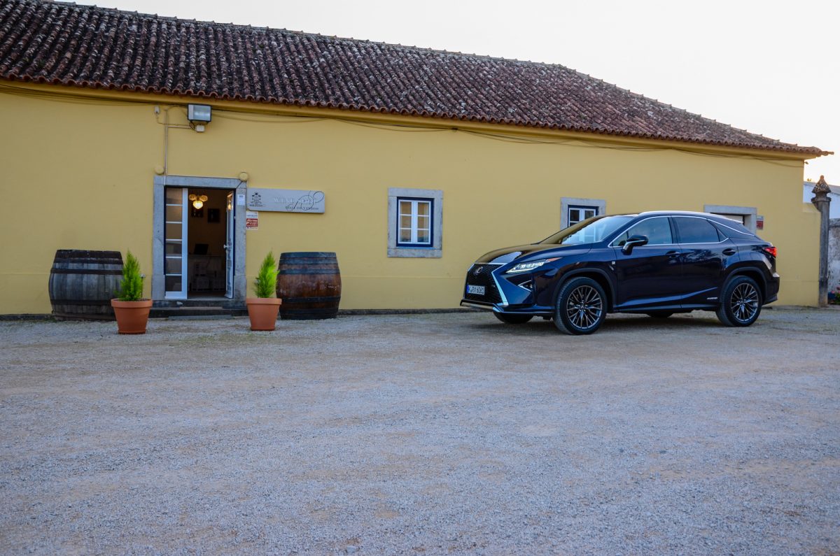 LEXUS RX