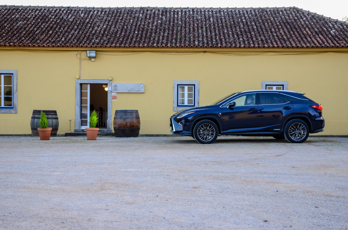 LEXUS RX