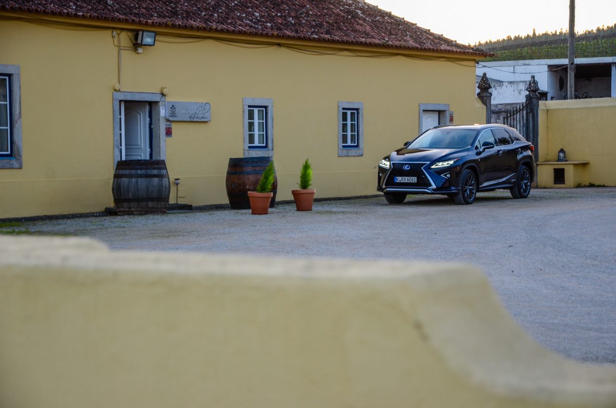 LEXUS RX