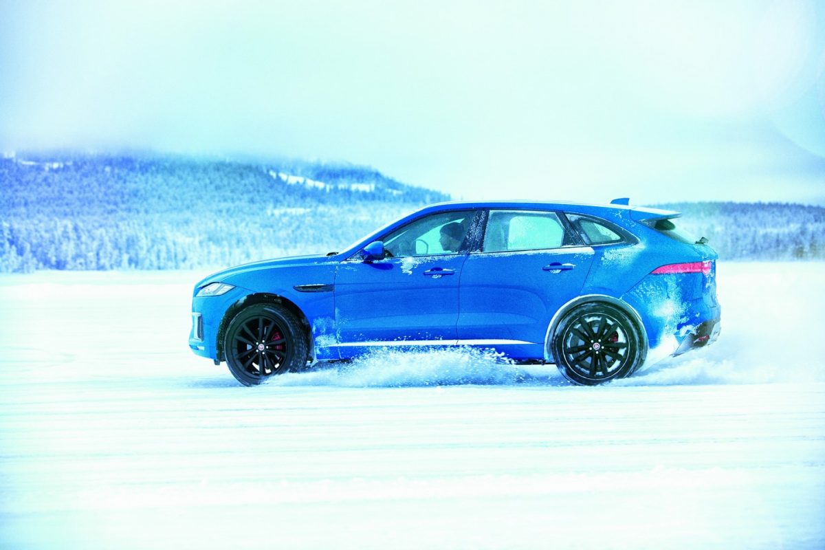 JAGUAR