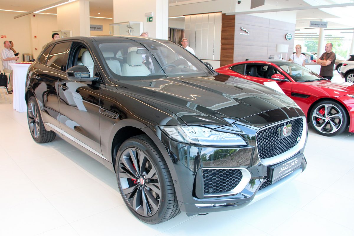 JAGUAR