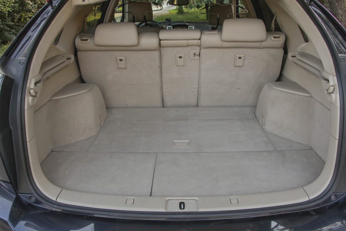 LEXUS RX