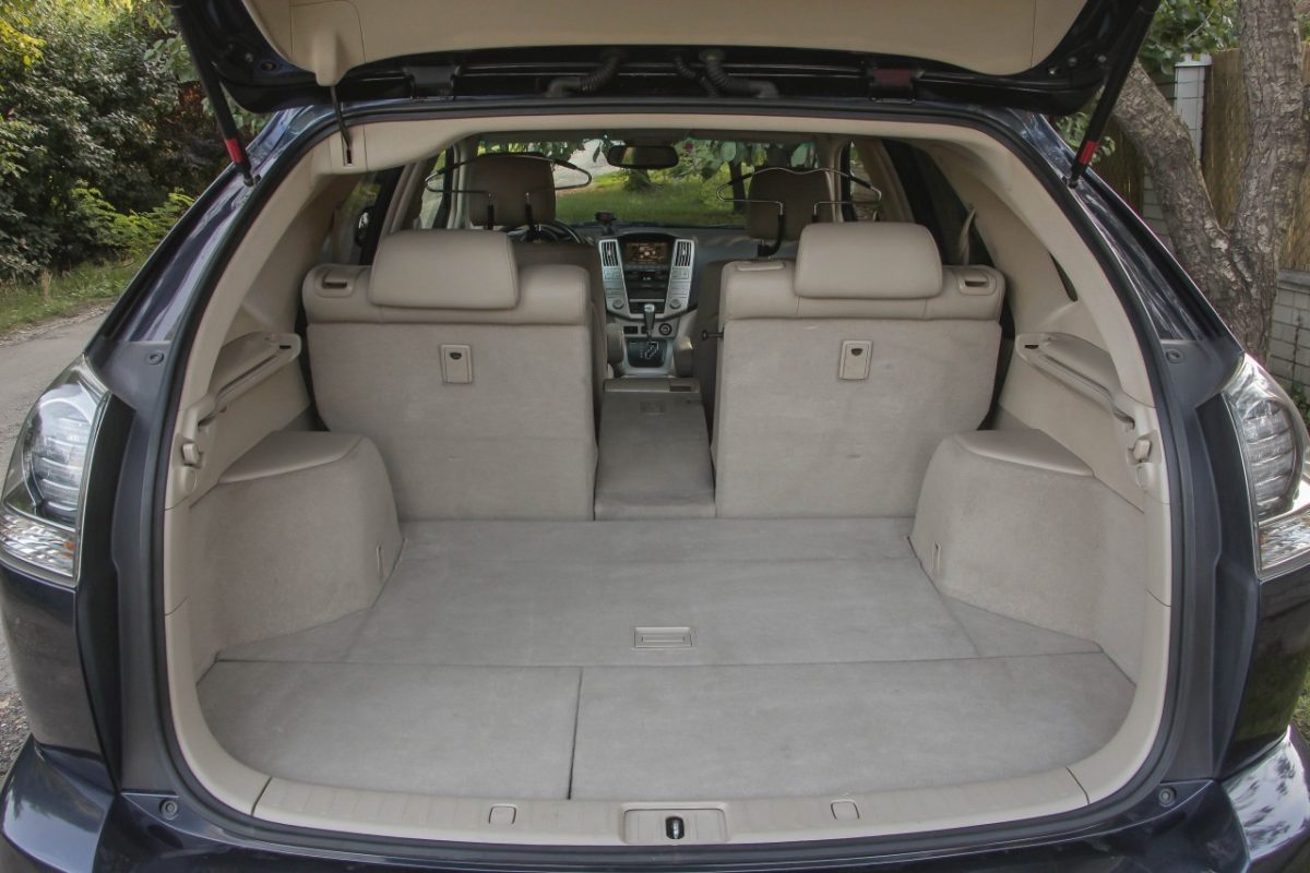 LEXUS RX