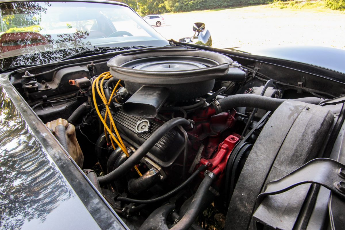 CHEVROLET CORVETTE