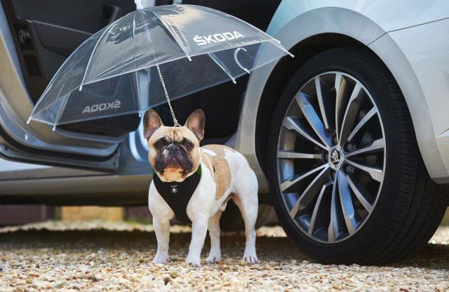 Kutyákkal tréfákozott a Skoda