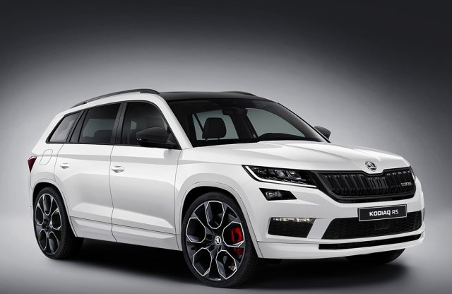 Bedurvul a Skoda Kodiaq