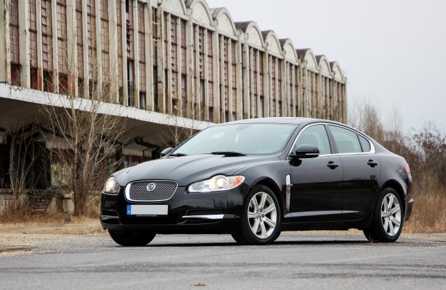 Kóbormacska – használt Jaguar XF