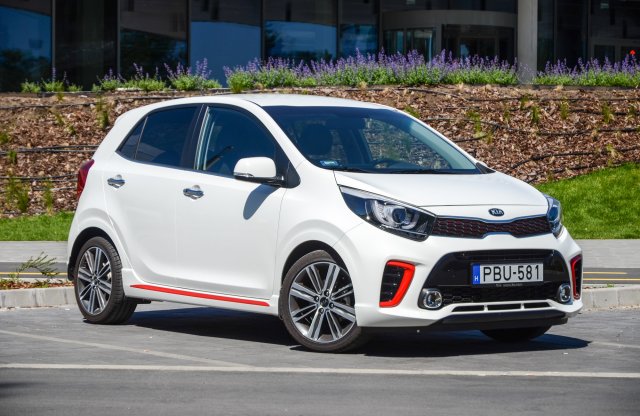 Cicaszívű oroszlán - Kia Picanto teszt