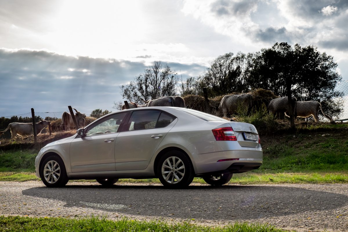 SKODA OCTAVIA