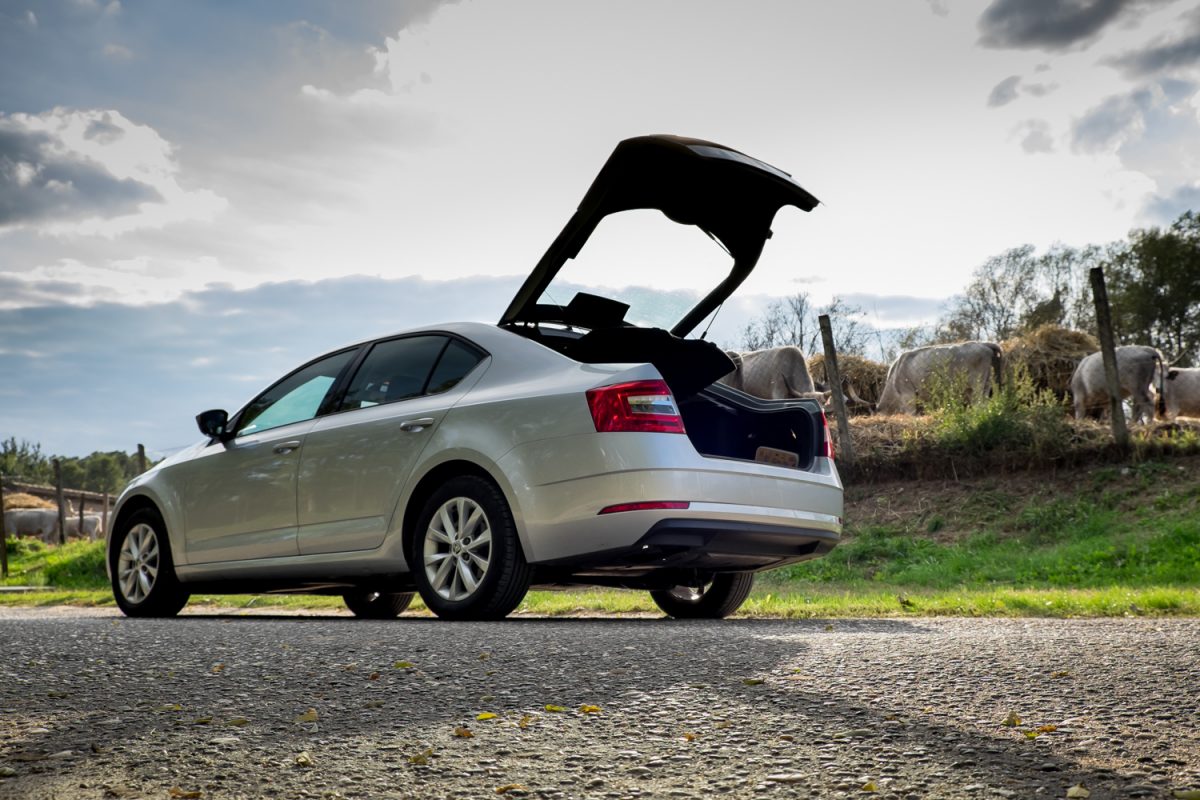 SKODA OCTAVIA