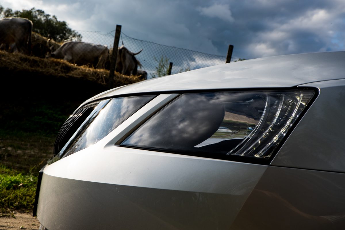 SKODA OCTAVIA