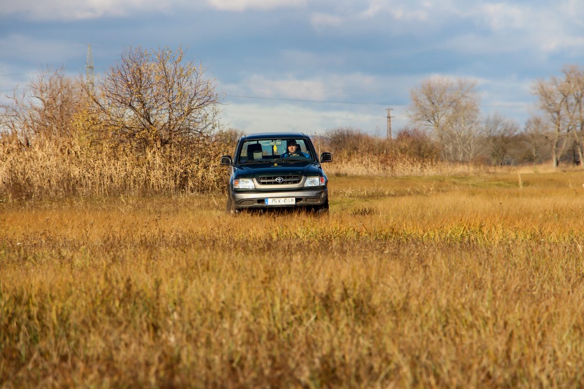 TOYOTA HI LUX
