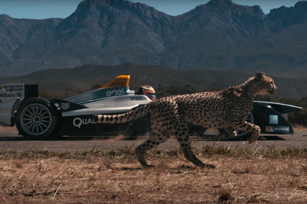 JAGUAR