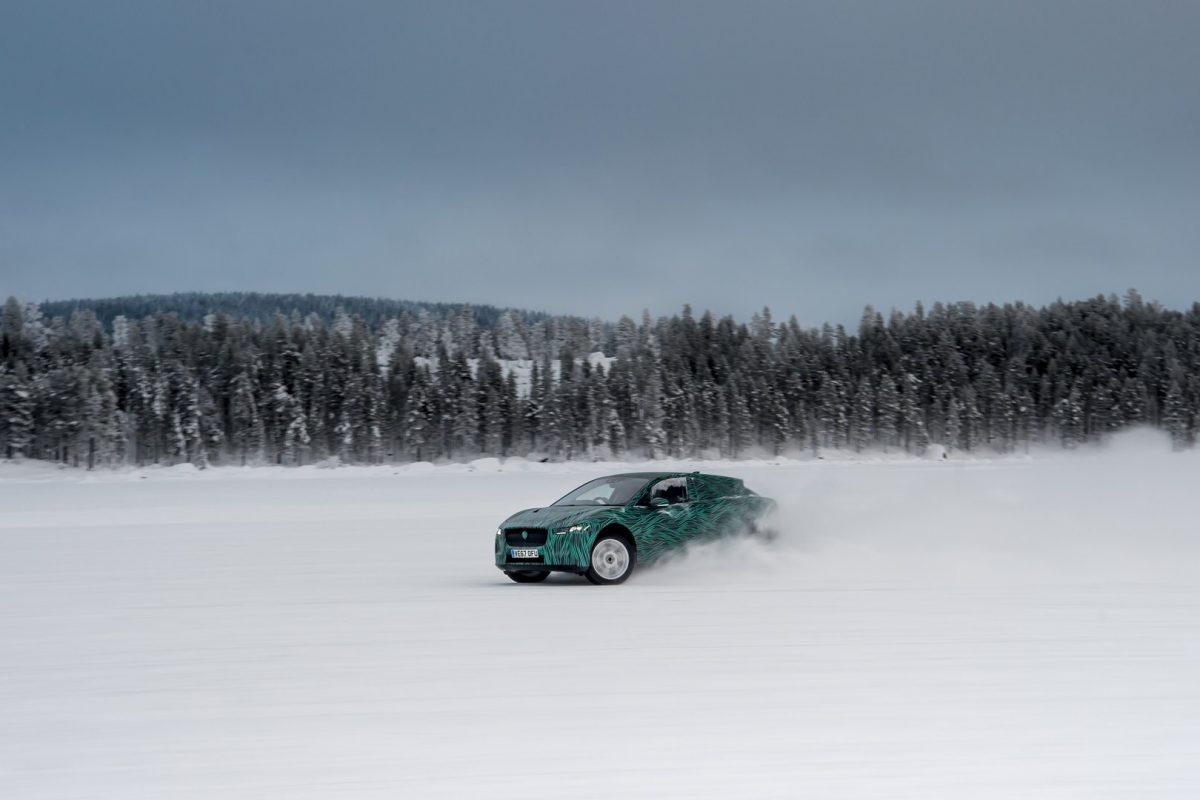 JAGUAR