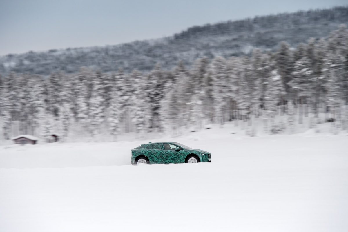 JAGUAR