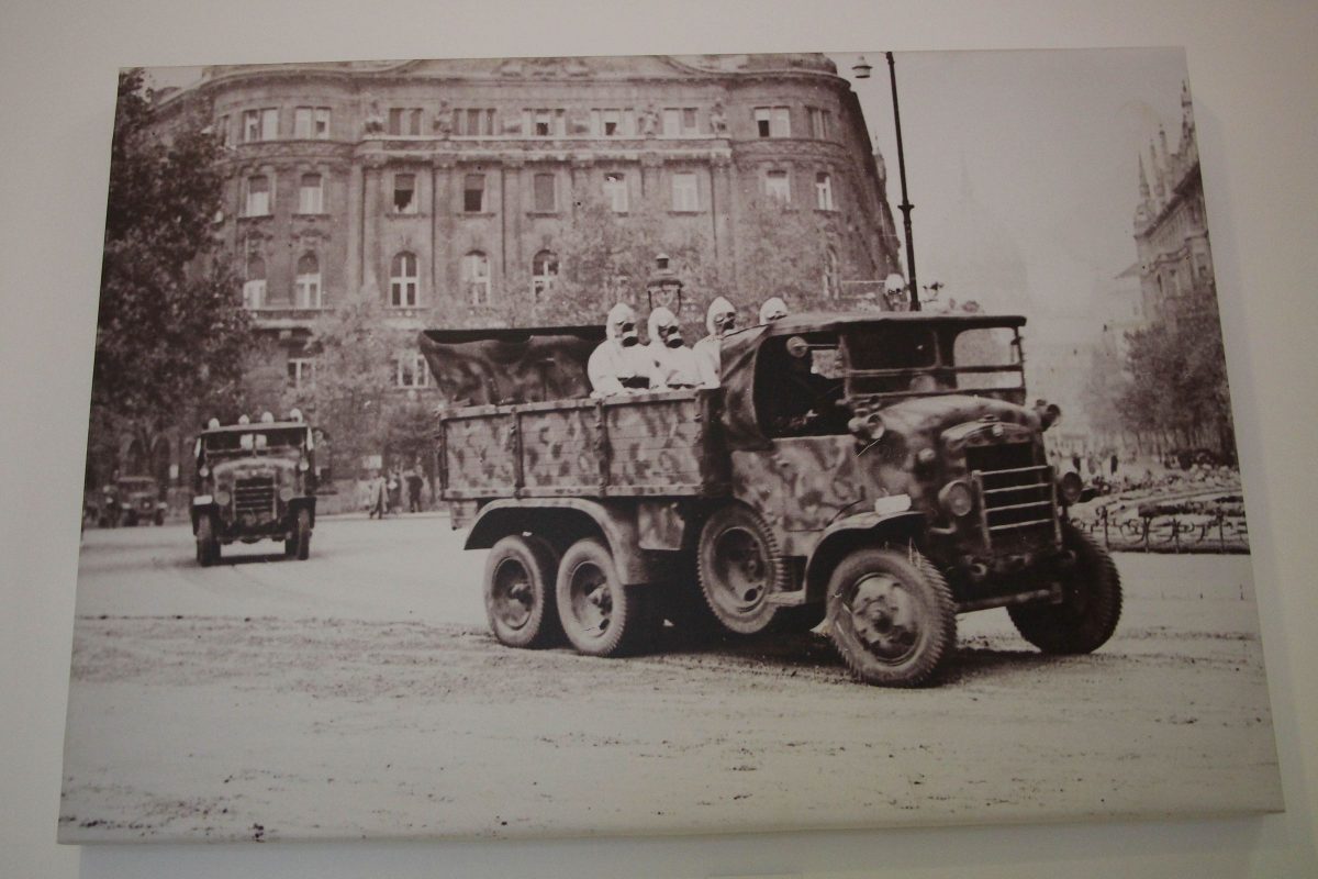 STEYR