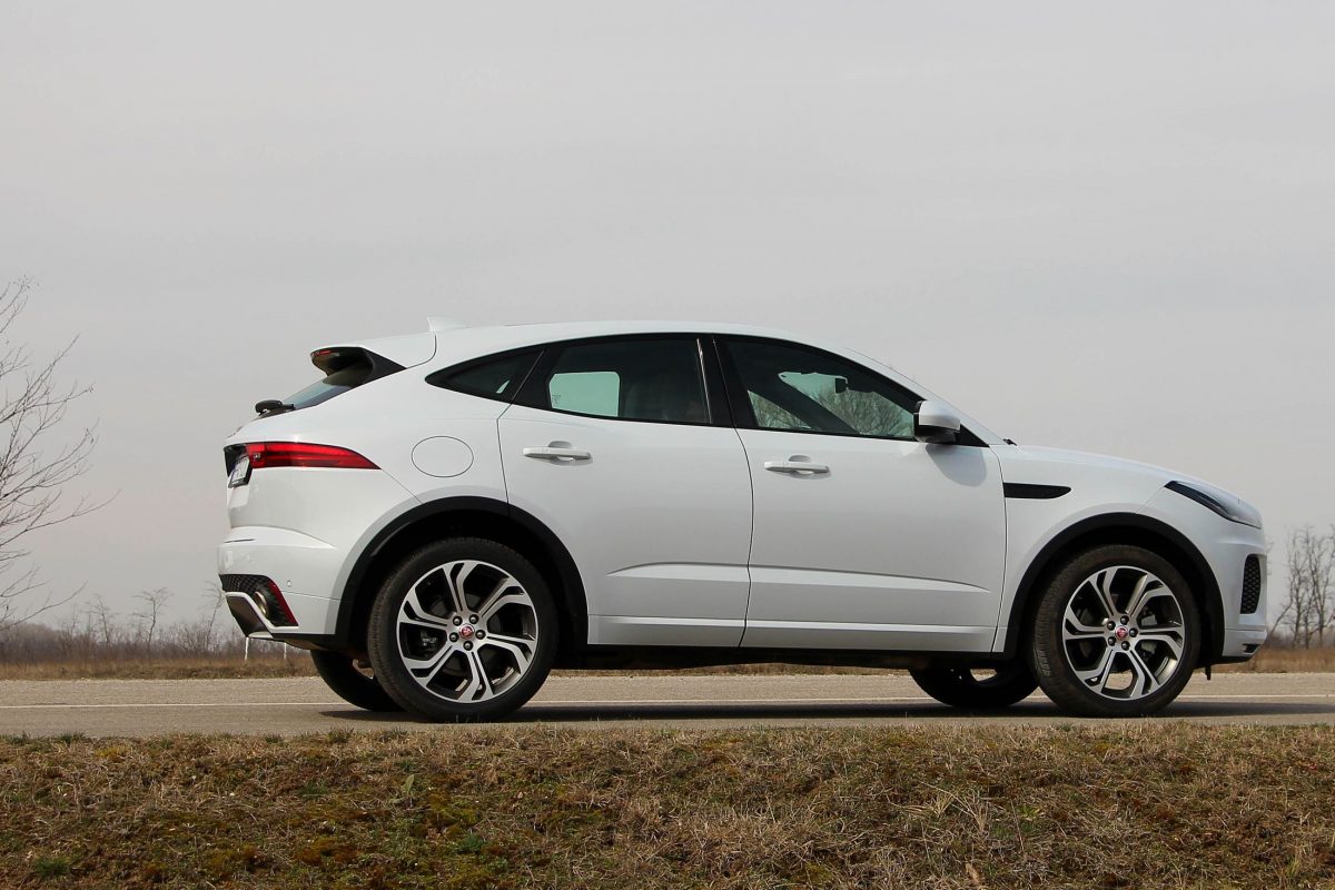 JAGUAR