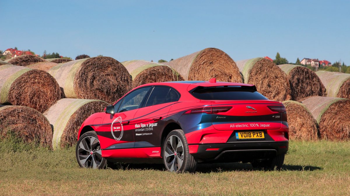 JAGUAR