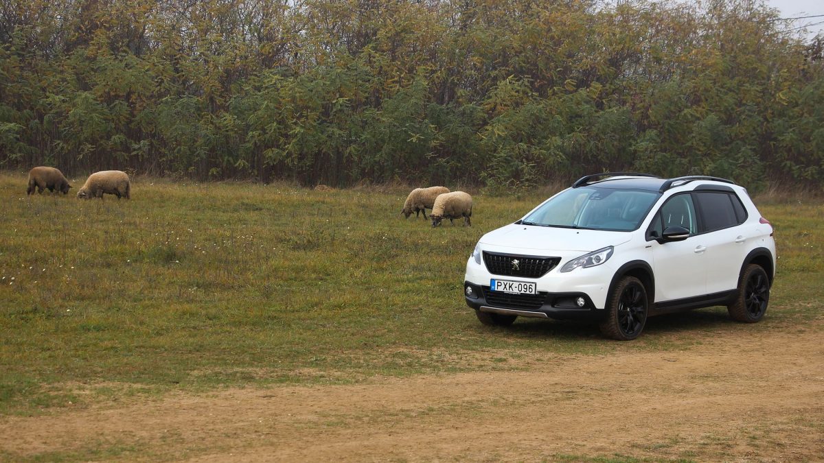 PEUGEOT 2008