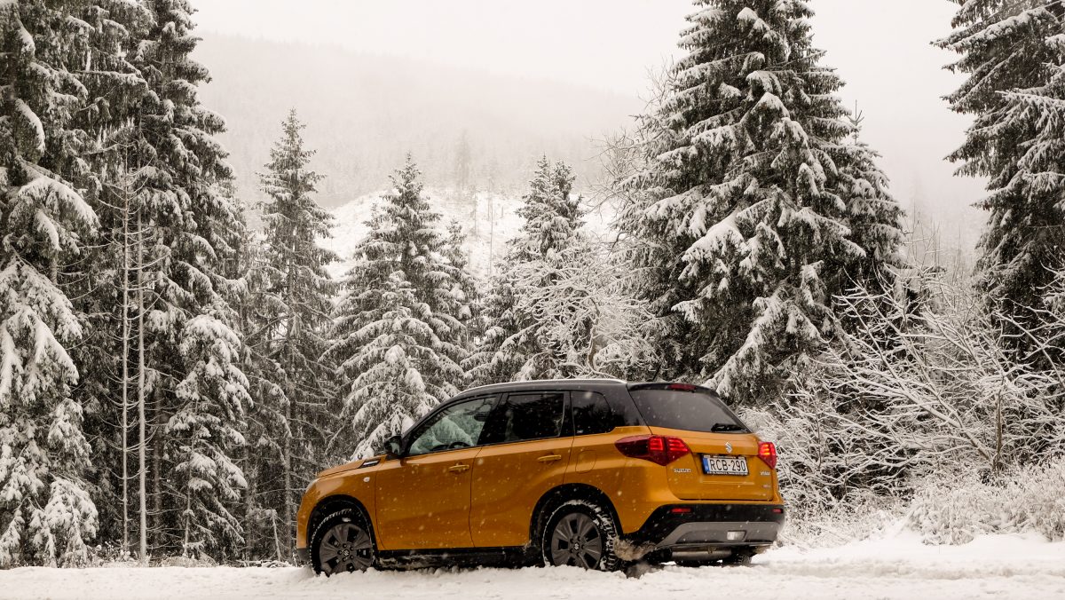 SUZUKI VITARA