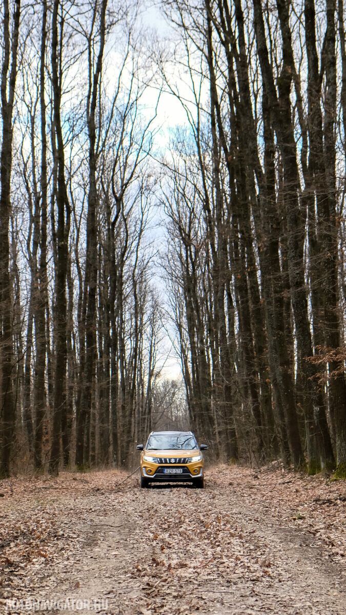 SUZUKI VITARA