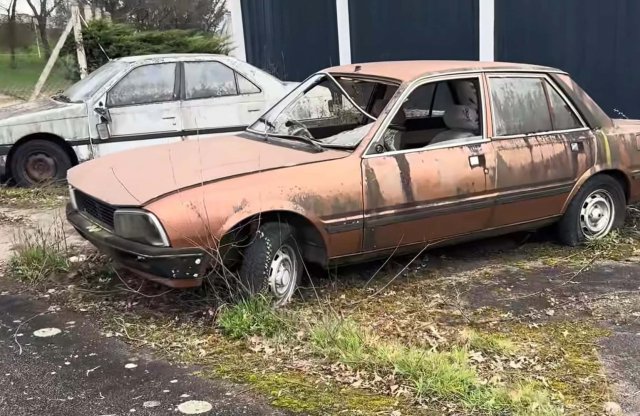 Porosodó kincsekre bukkantak egy bezárt Peugeot kereskedésben