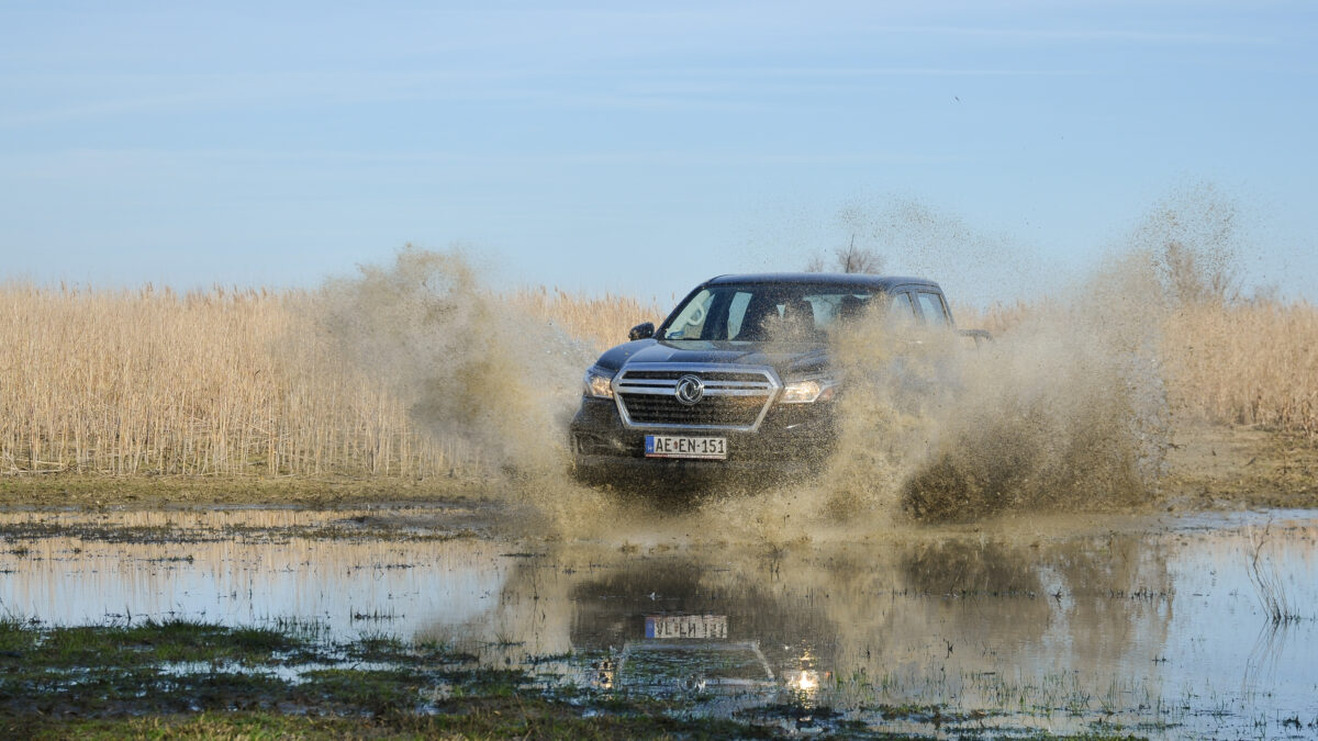 DONGFENG (DFSK) DF6