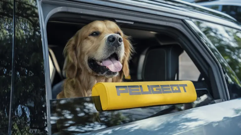 Ebben az autóban otthagyhatnád a kutyád a bolt előtt: íme az E-5008 Dog Edition!