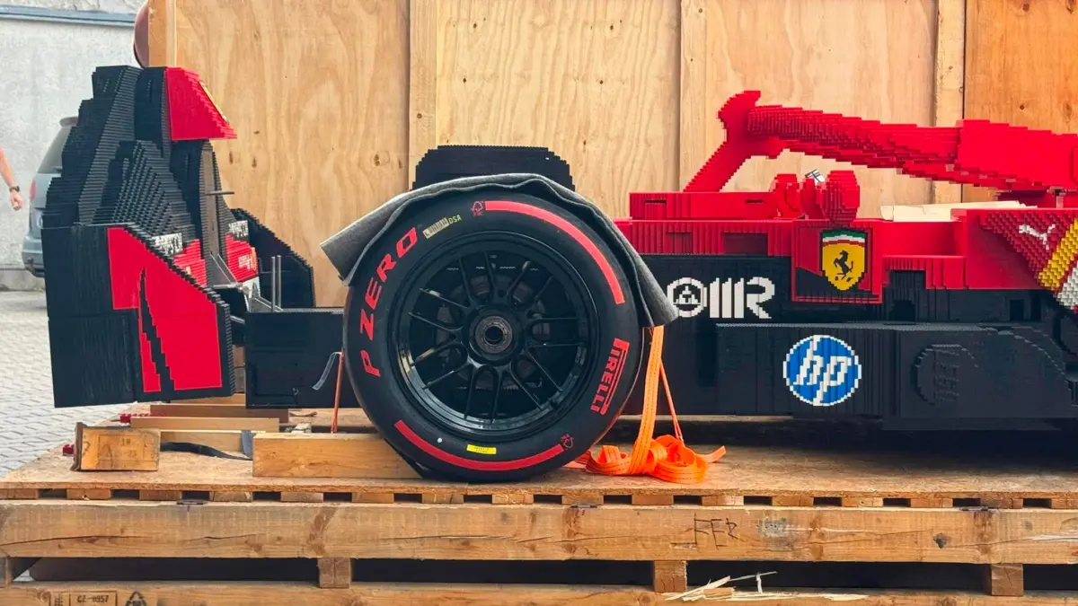 737617684_1002497989319847_5214529914736346997_n